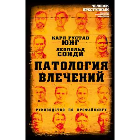 Книга Эксмо Патология влечений Руководство по профайлингу