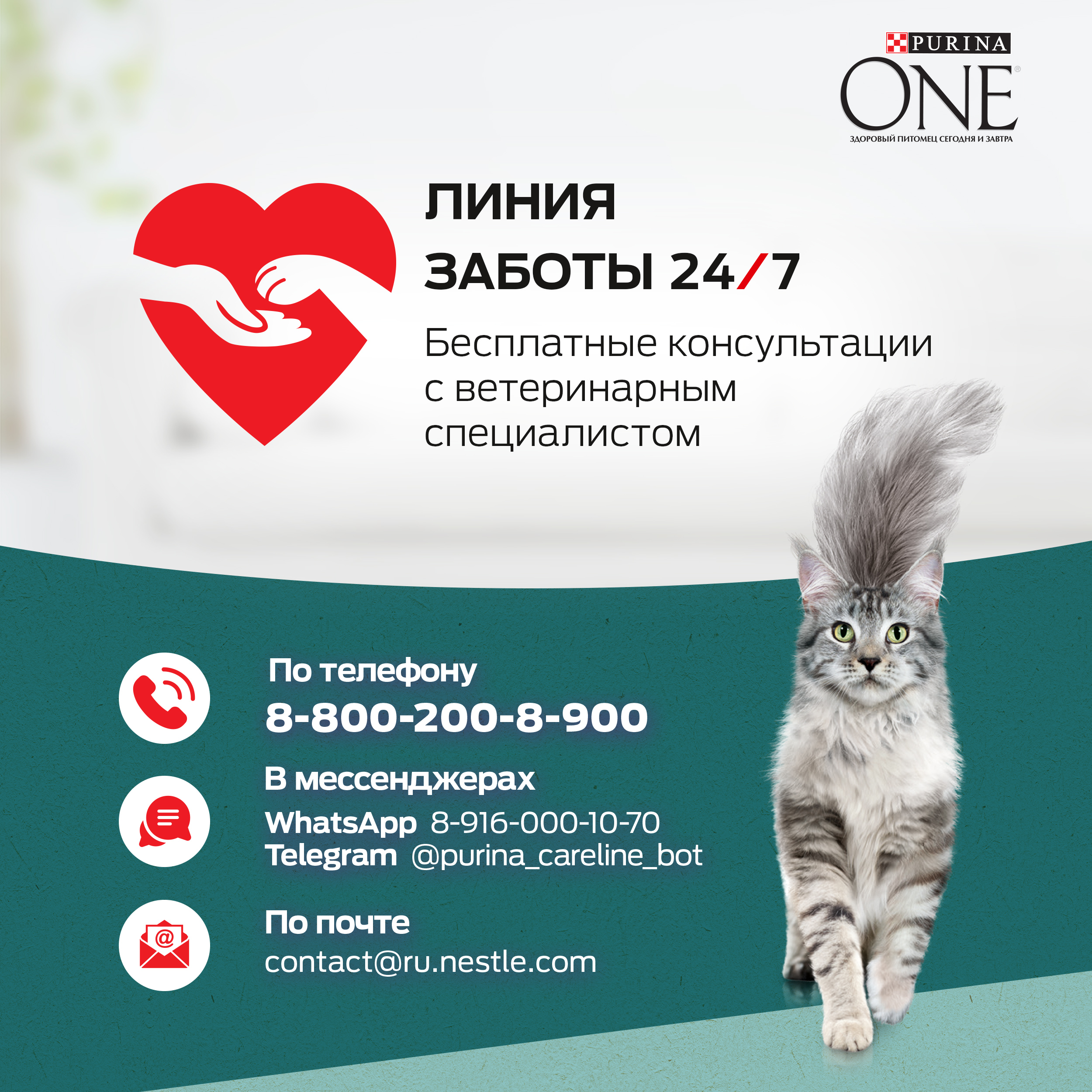 Сухой корм для кошек Purina One 0.68 кг говядина (для стерилизованных и кастрированных, полнорационный) - фото 13