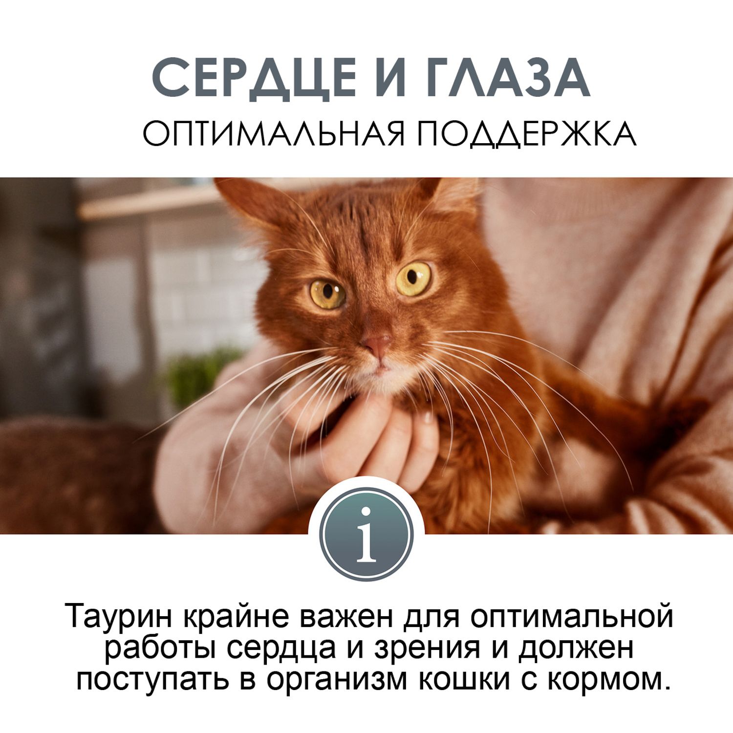 Паста для кошек Gimcat Expert line Таурин 50г - фото 9