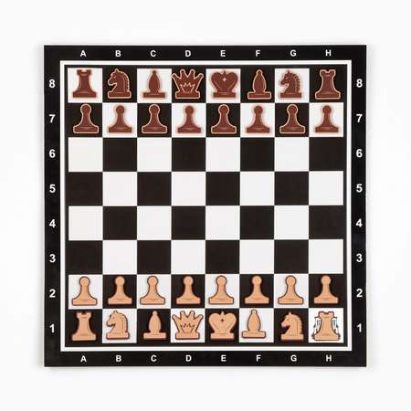 Демонстрационные шахматы Sima-Land 40 х 40 см «Время игры» на магнитной доске 32 шт чёрные