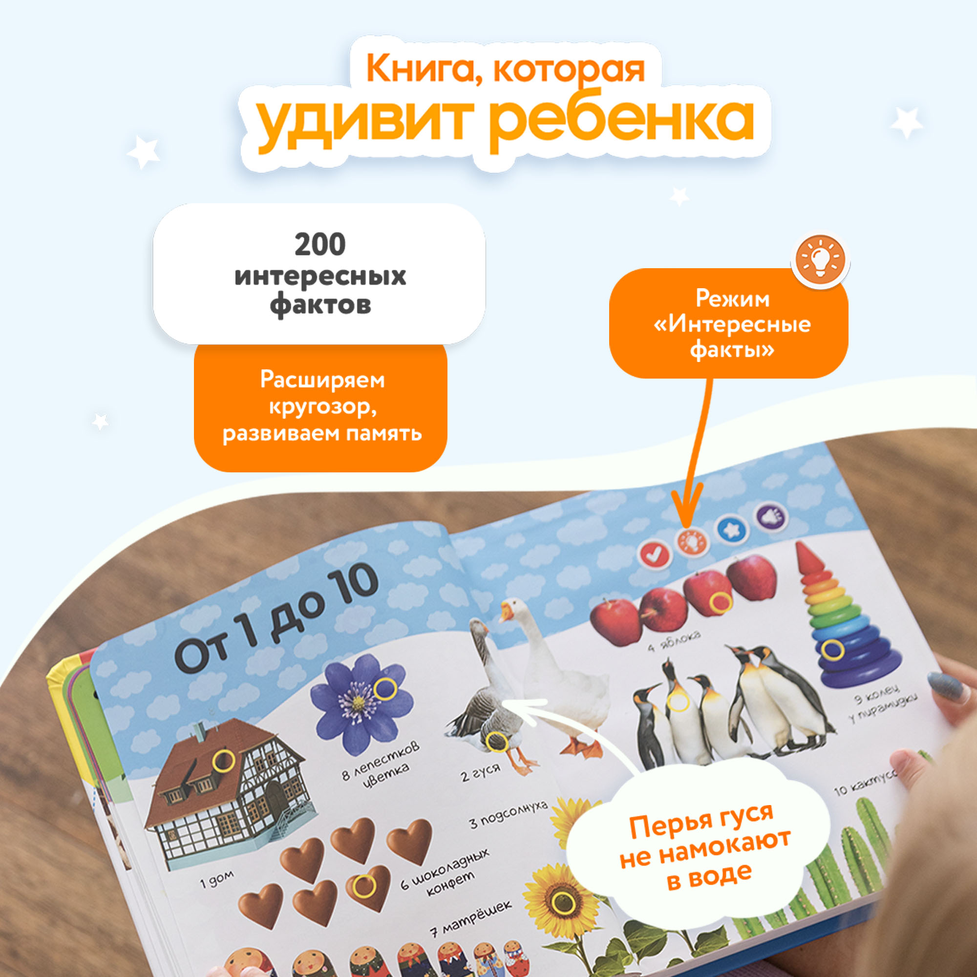 Говорящая книжка Нажималка BertToys Цифры - фото 4