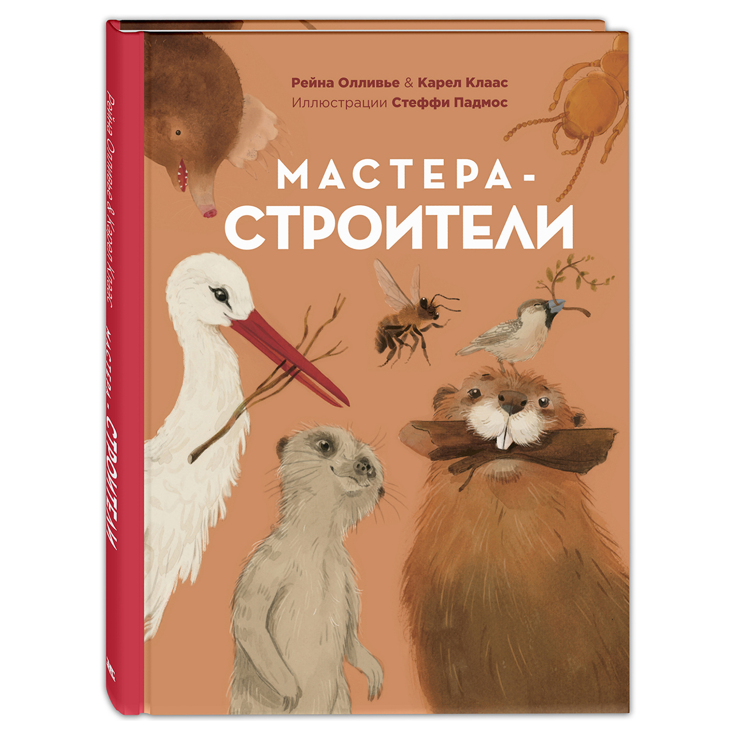 Книга Издательство Энас-книга Мастера-строители - фото 1