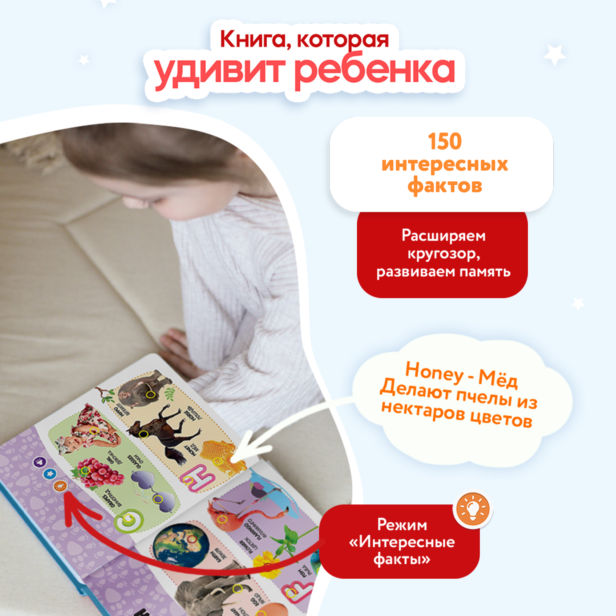 Говорящая книжка Нажималка BertToys Английский алфавит - фото 4