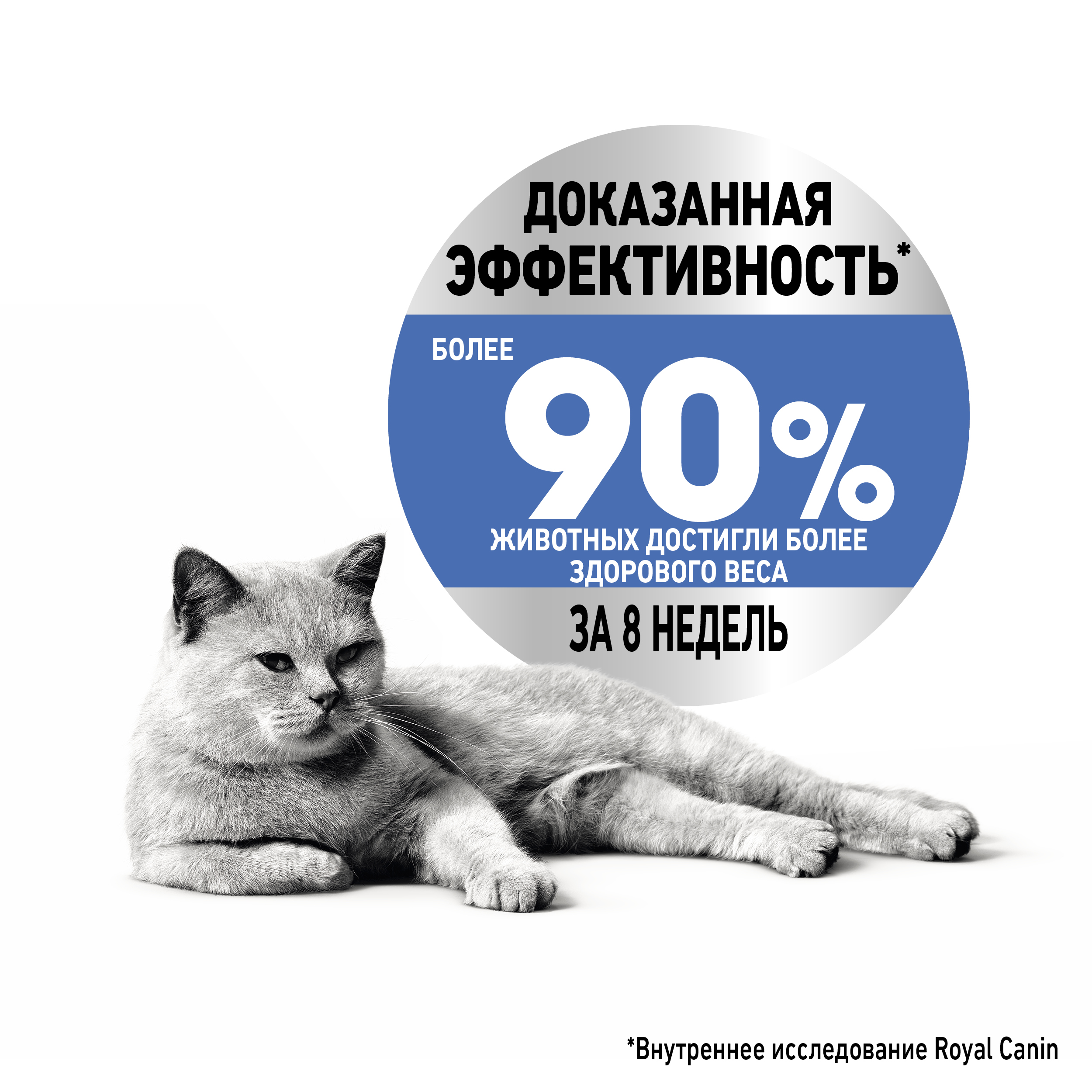 Влажный корм для кошек ROYAL CANIN 0.085 кг - фото 7