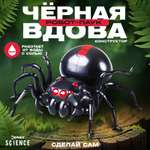 Конструктор Эврики Чёрная вдова 43 детали работает на воде с солью