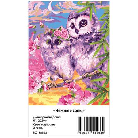 Картина по номерам Greenwich Line Нежные совы 40*50см с акриловыми красками