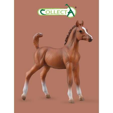 Фигурка животного Collecta Жеребенок лошади Арабской - каштановый