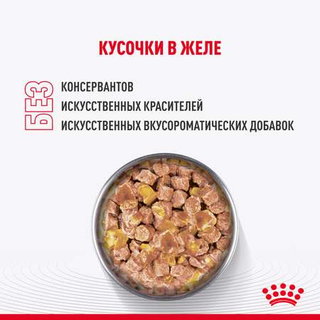 Корм для котят Royal Canin 85г Kitten Sterilised желе для стерилизованных котят пауч