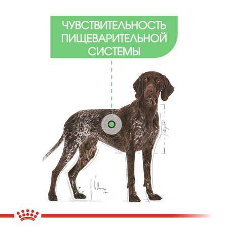 Корм для собак Royal Canin 12кг Maxi Digestive Care крупных сухой