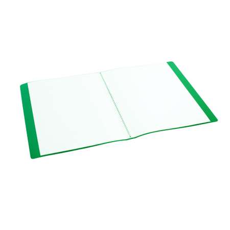 Папка с 30 файлами А4 Консул пластик 0.6 мм цвет зеленый