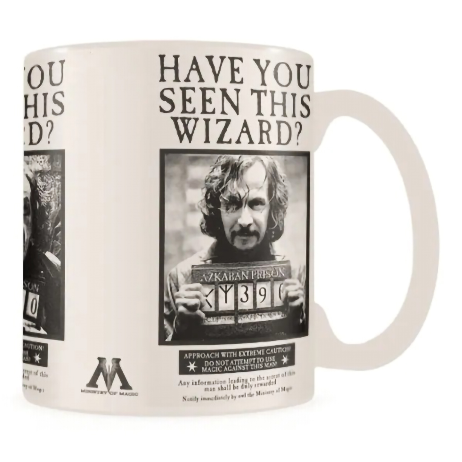 Кружка Pyramid Harry Potter Heat Changing Mug 315ml SCMG25012 - фото 1