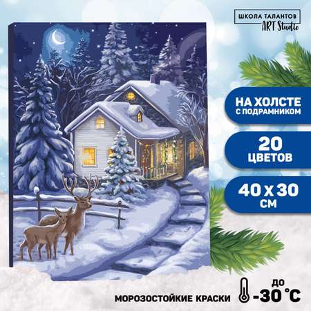 Картина Школа Талантов по номерам на холсте с подрамником«Зимняя ночь» 40*30 см