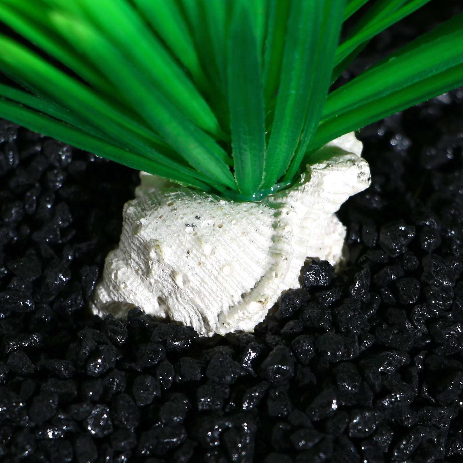 Растение для аквариума Пижон Аква на подставке с ракушкой зелёное - фото 2