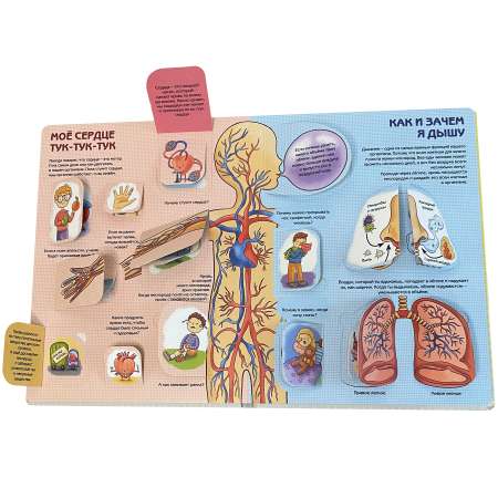 Детские книги с окошками BimBiMon Набор энциклопедий про тело человека и природу