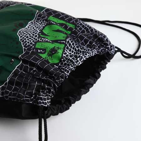 Мешок для обуви Sima-Land на шнурке цвет чёрный/зелёный