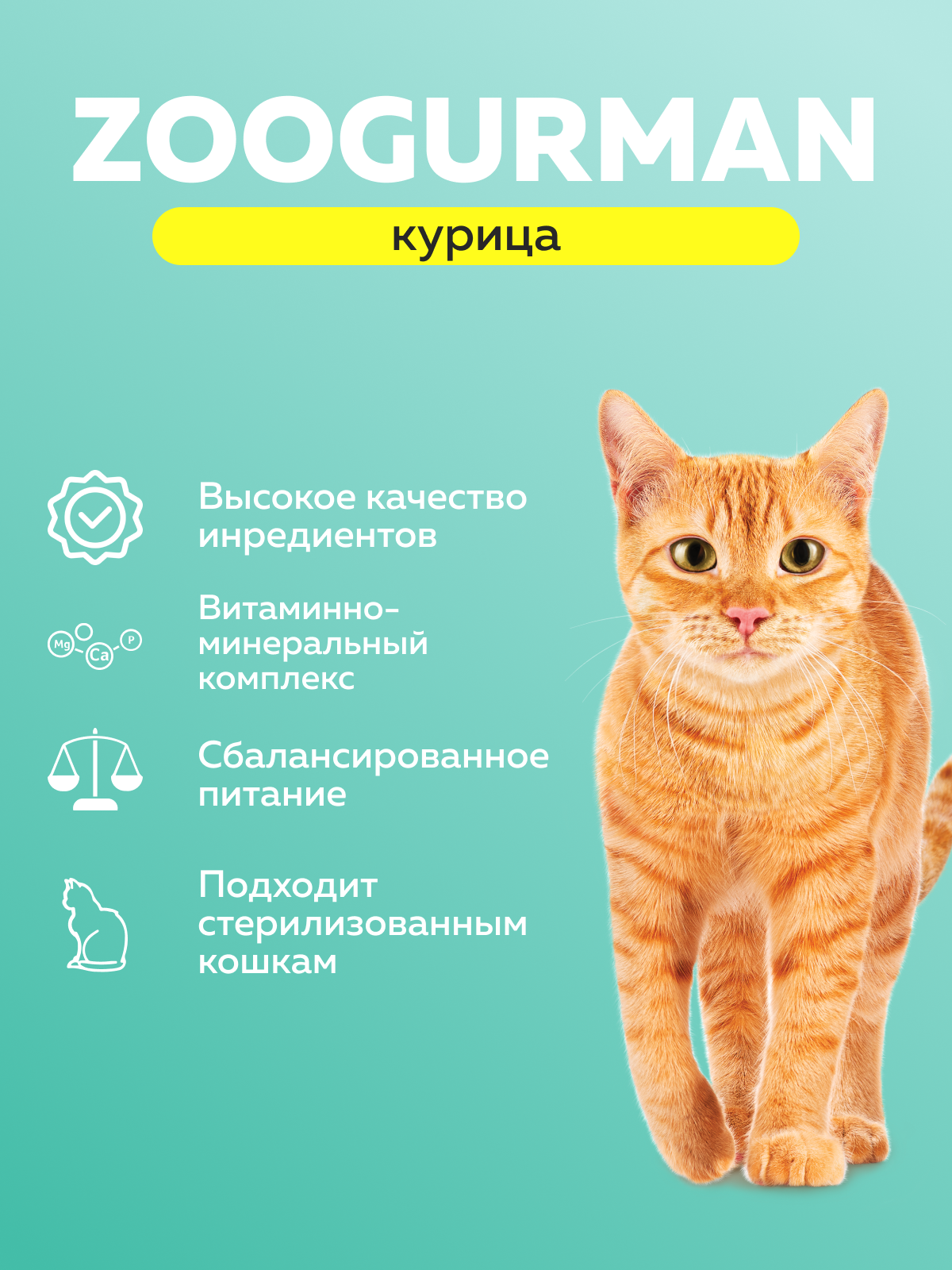 Корм влажный Зоогурман Паучи Курица, 85 гр х 30 шт - фото 2