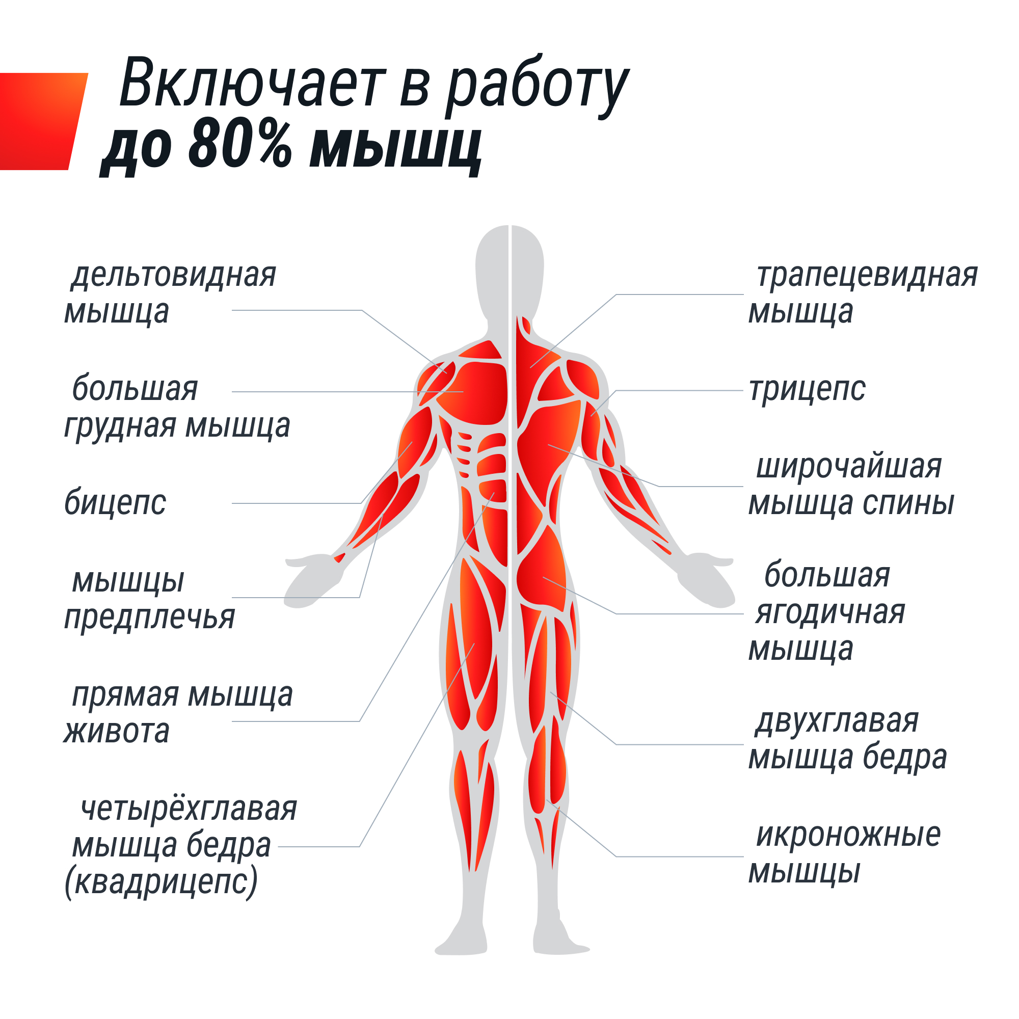 Гребной тренажер UNIX Fit Water Rower 340 - фото 5