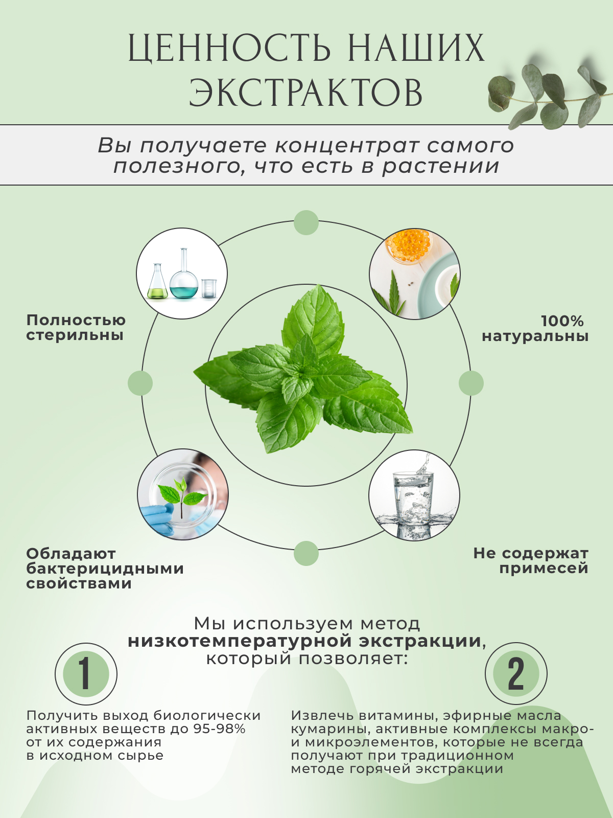 Пенка для умывания лица Dr.Minerals ANTI-ACNE против черных точек и прыщей 150 мл - фото 6