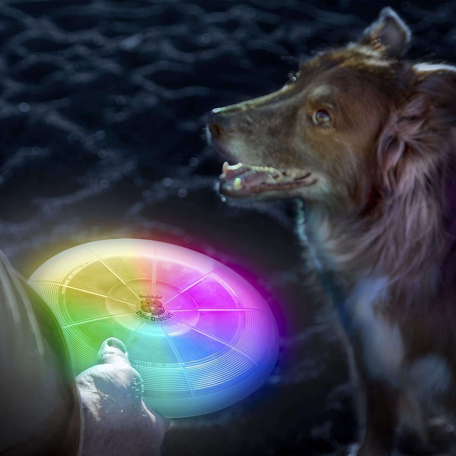 Игрушка фрисби для собак ZDK светящийся - фото 2