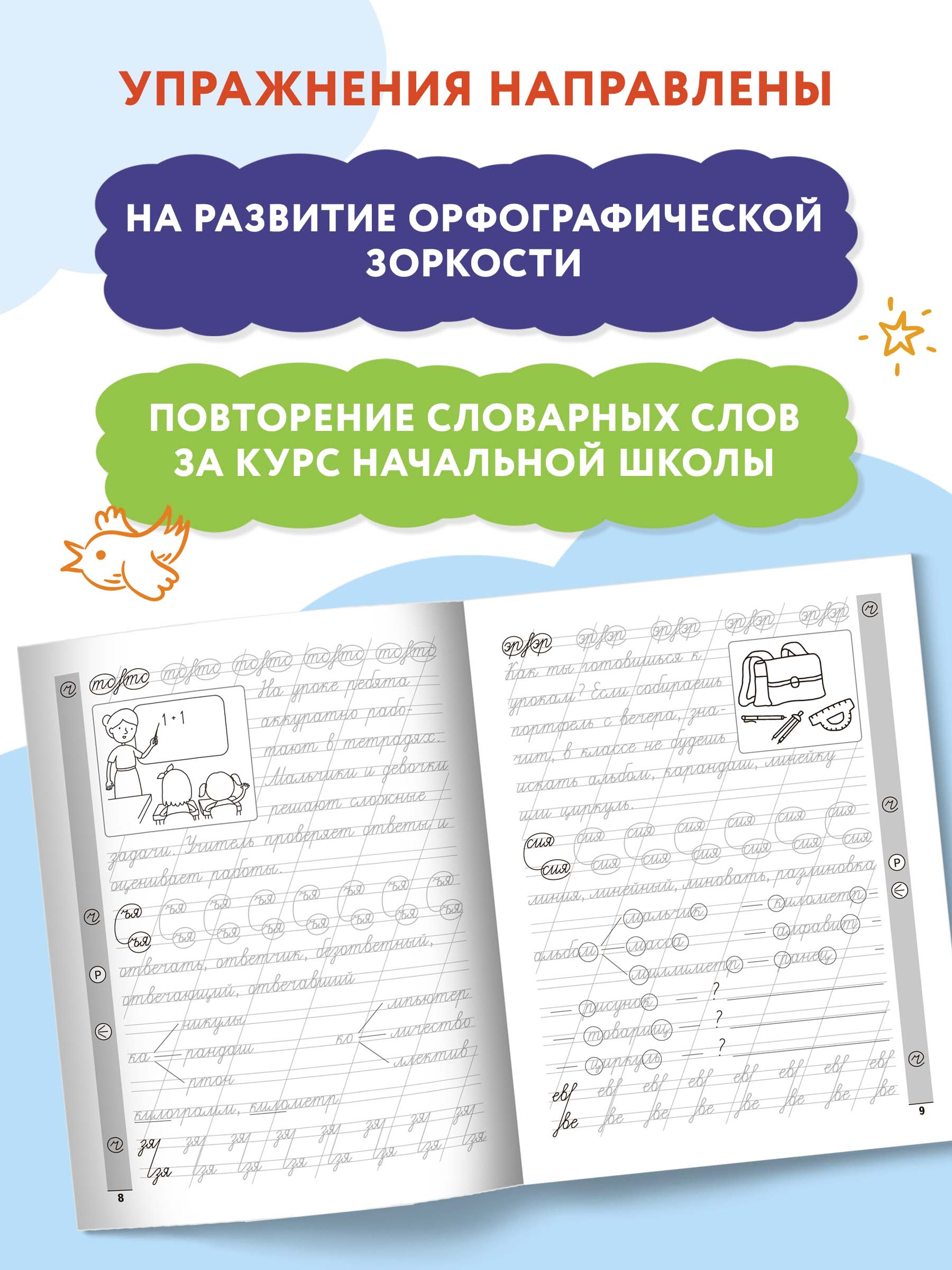 Книга Феникс Чистописание. Плюс словарные слова - фото 5