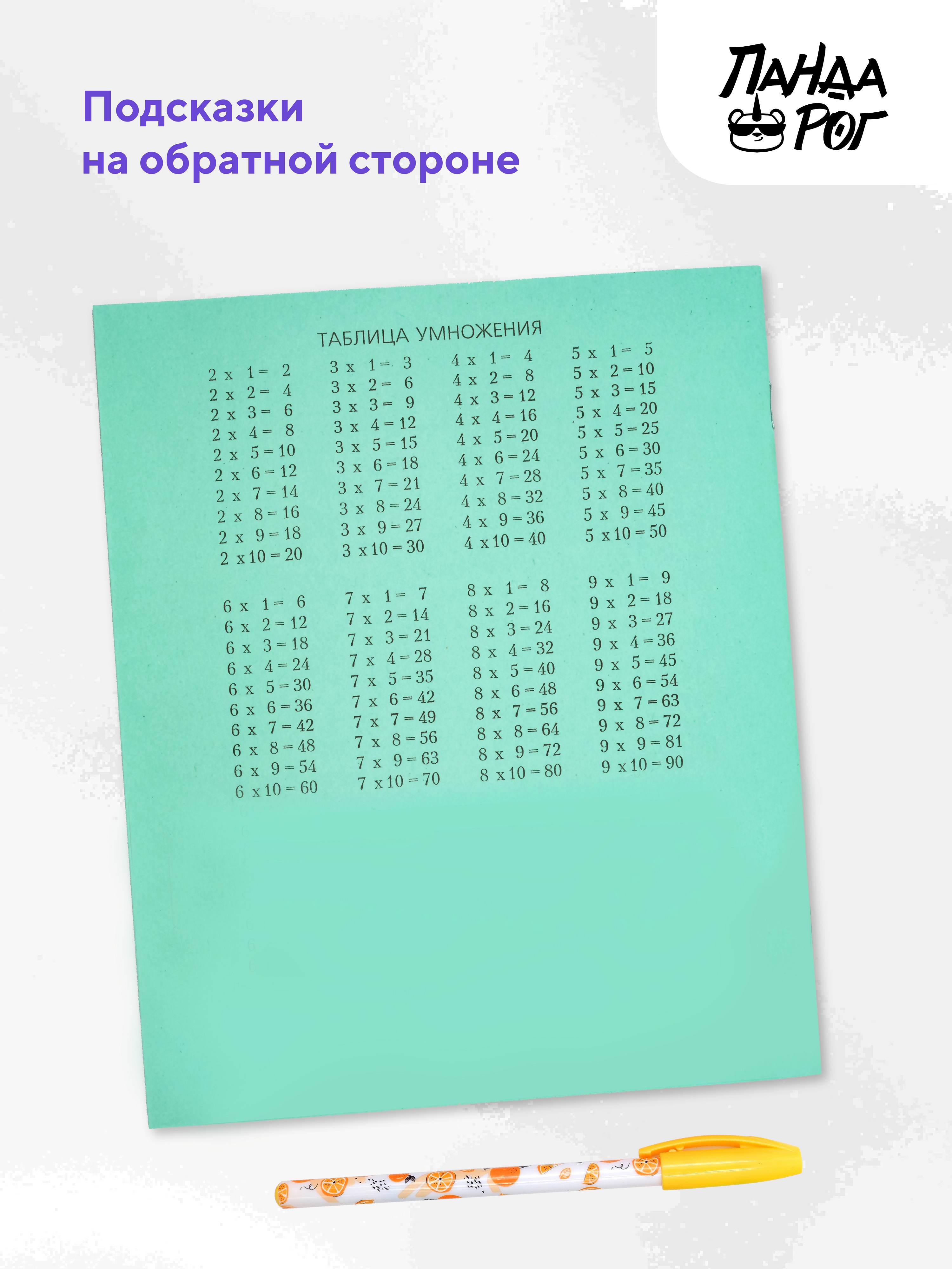 Набор тетрадей школьных ПАНДАРОГ А5 24 листов офсет клетка 10шт - фото 5