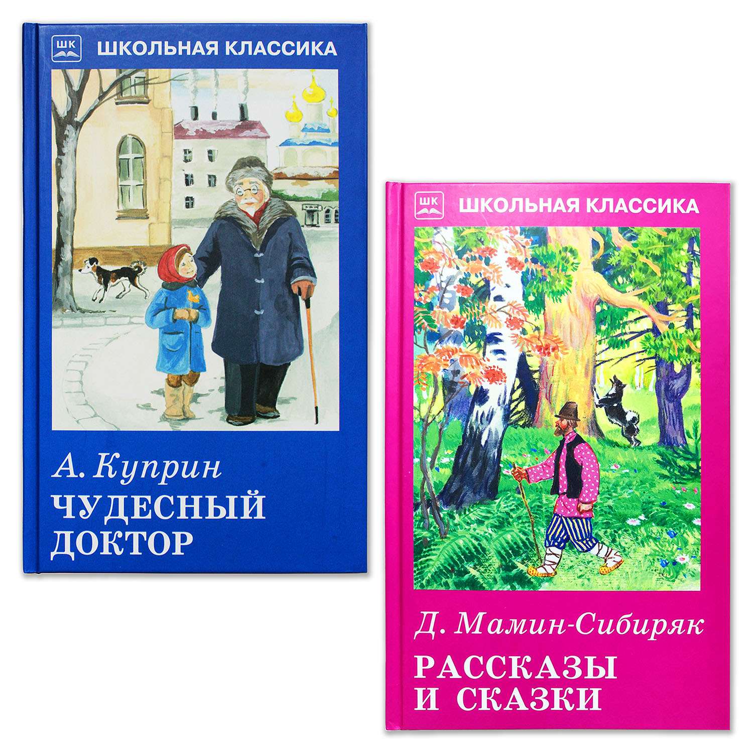 Ответы по рассказу чудесный доктор. Куприн чудесный доктор иллюстрации. Иллюстрации к рассказу чудесный доктор Куприна. Чудесный доктор обложка книги. Рассказы о чудесном.