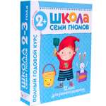 Полный годовой курс МОЗАИКА kids 12 книг( ШСГ 2-3 года)