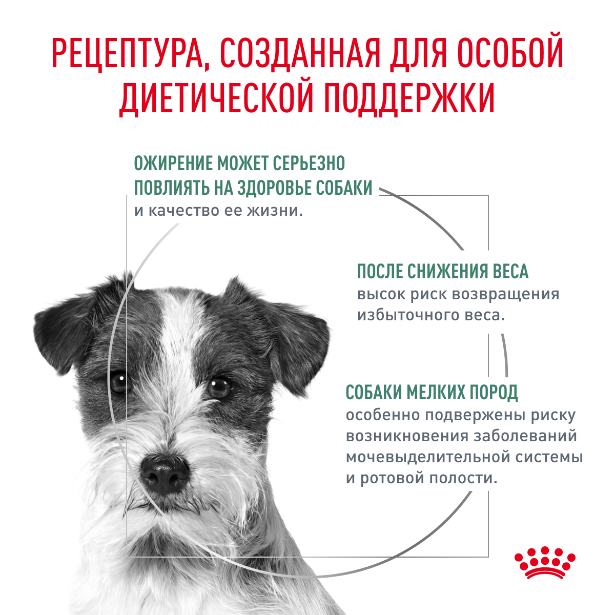 Корм для собак Royal Canin 1.5кг полнорационный для взрослых собак мелких пород для снижения веса - фото 3