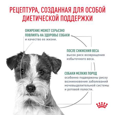 Корм для собак Royal Canin 1.5кг полнорационный для взрослых собак мелких пород для снижения веса