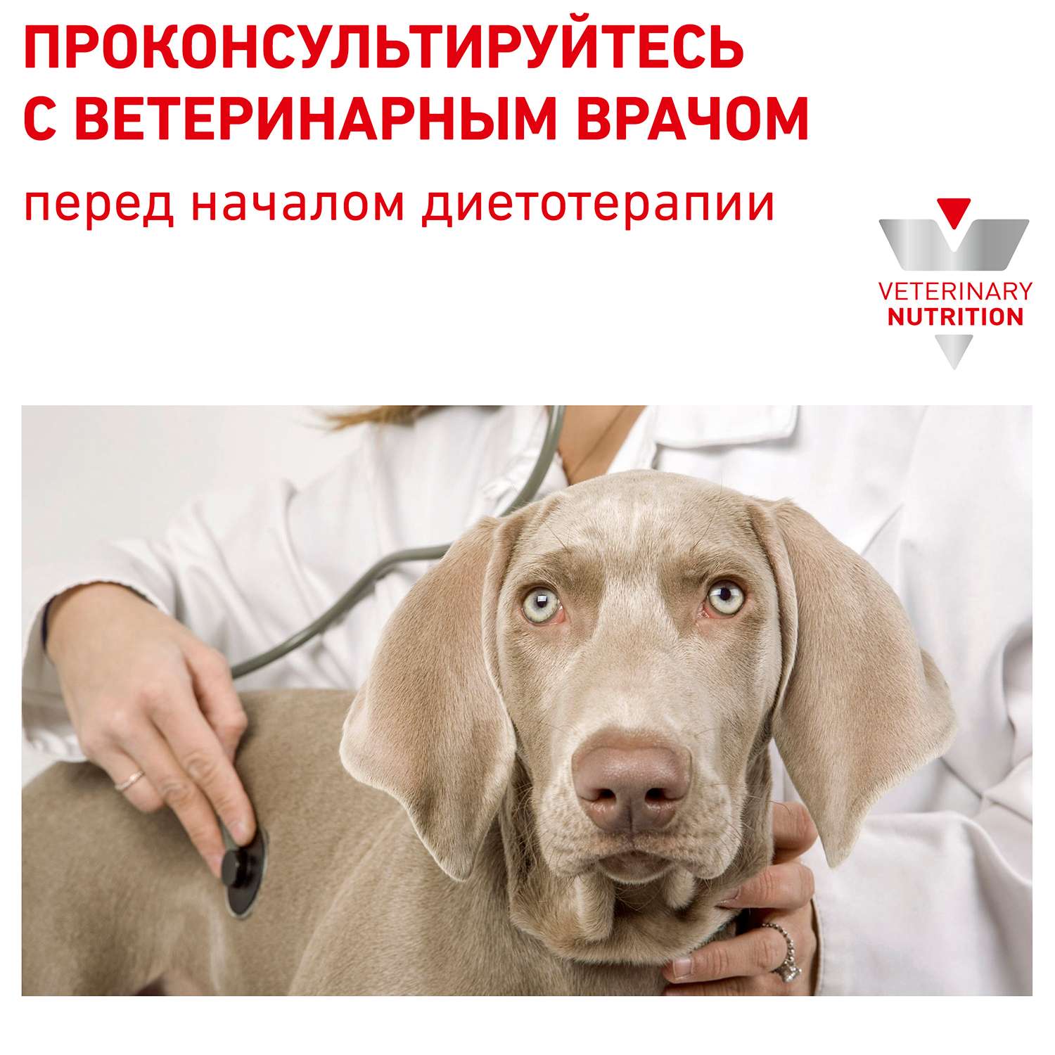 Корм для собак ROYAL CANIN Urinary S/O Canine при мочекаменной болезни консервированный 0.2кг - фото 8