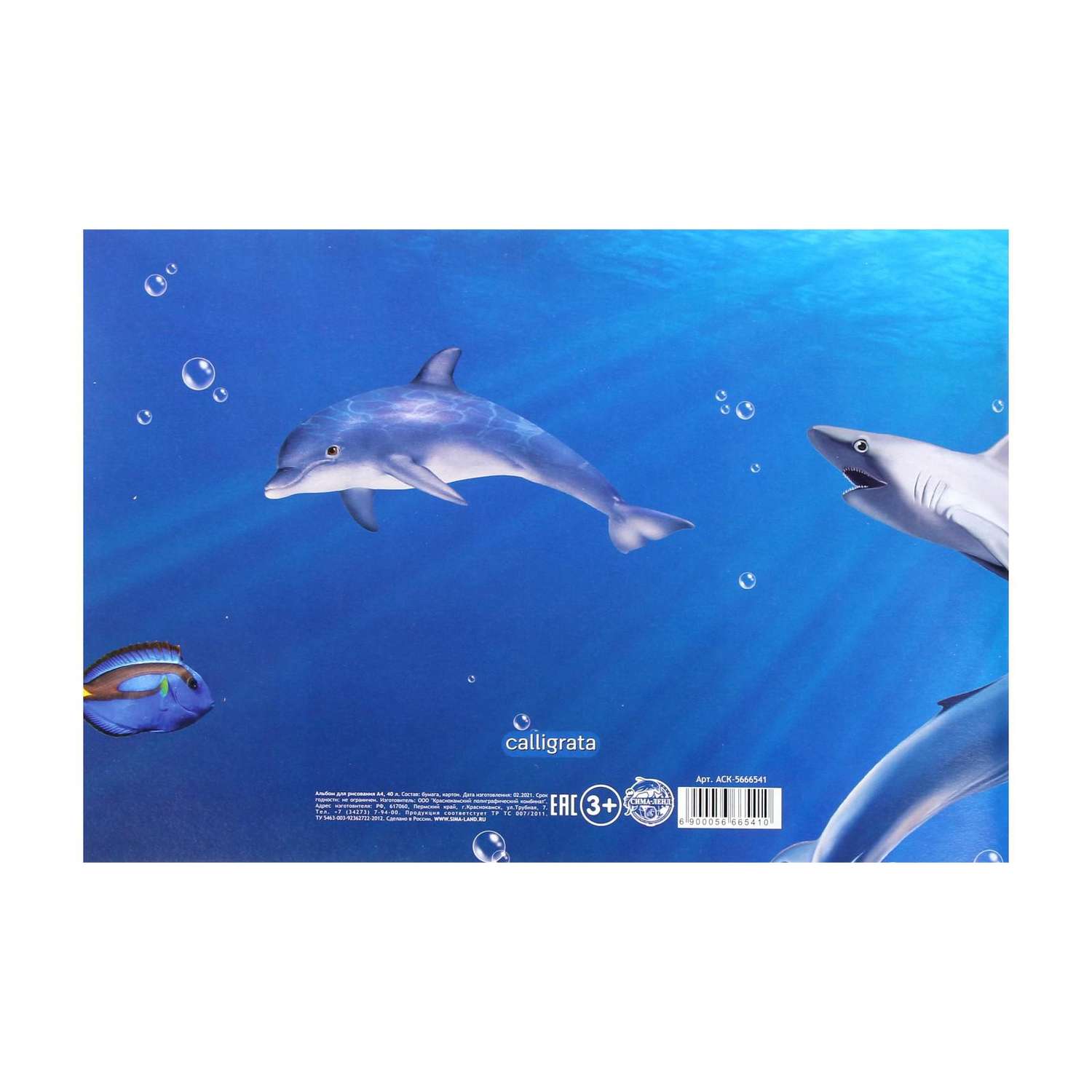 Альбом для рисования Calligrata А4 40 листов на скрепке «Морской мир» - фото 3