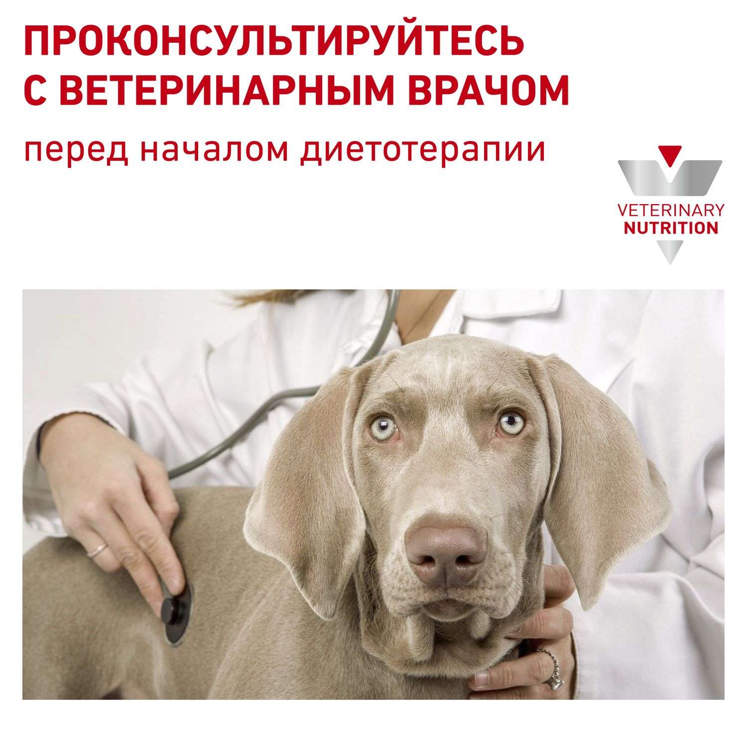 Корм для собак ROYAL CANIN Hepatic HF16 при заболеваниях печени 6кг - фото 8