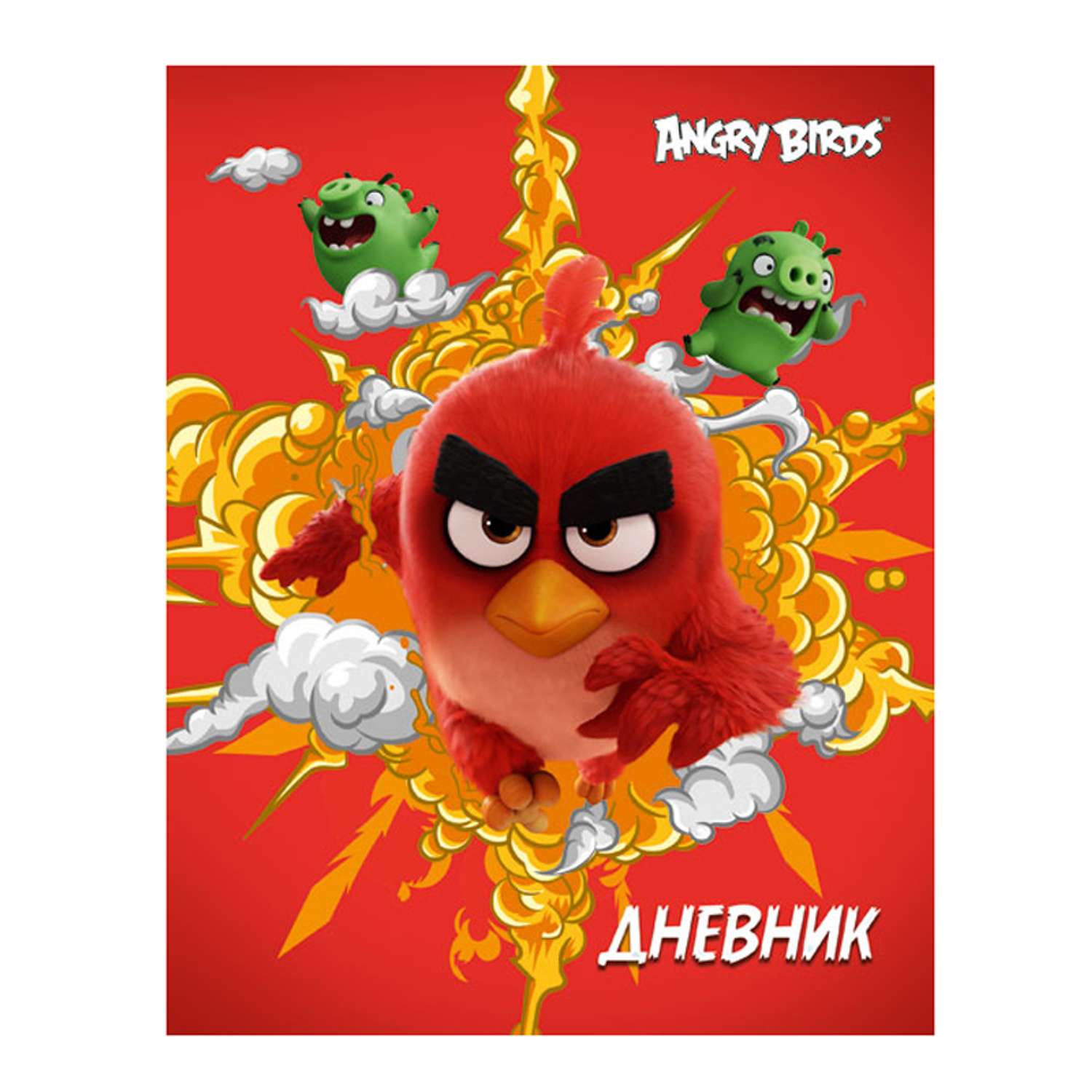 Дневник Академия Холдинг Angry Birds - фото 1