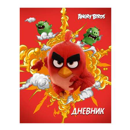 Дневник Академия Холдинг Angry Birds