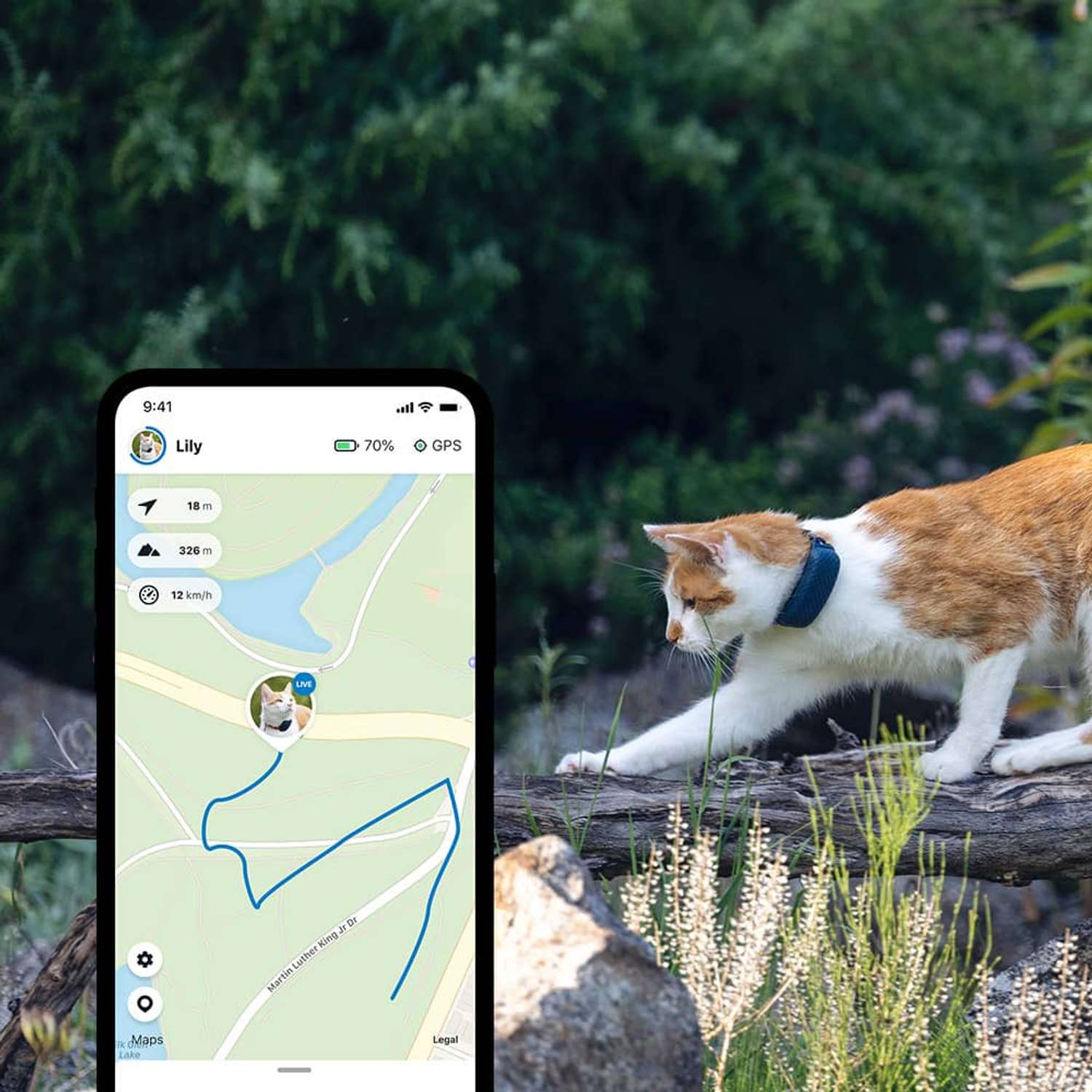 Трекер для кошек Tractive GPS Cat 4 LTE - фото 10