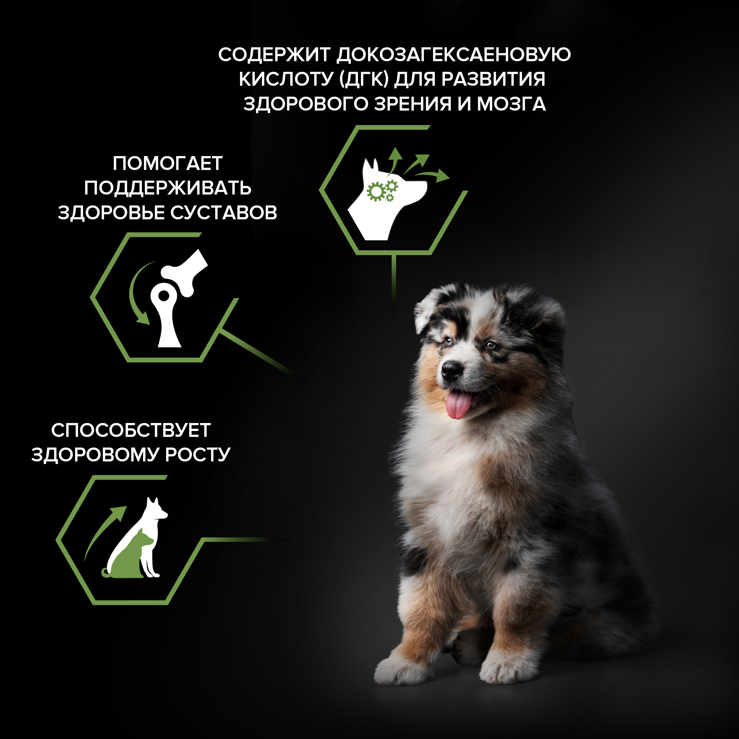 Корм для щенков PRO PLAN средних пород с комплексом Optistar с курицей 3кг - фото 4