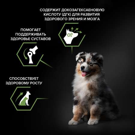 Корм для щенков PRO PLAN средних пород с комплексом Optistar с курицей 3кг