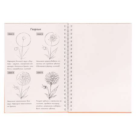Блокнот Prof-Press рисуй легко цветы 64 листа