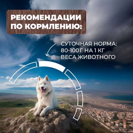 Консервы для собак Родные корма говяжьи кусочки в соусе по-хански 970г