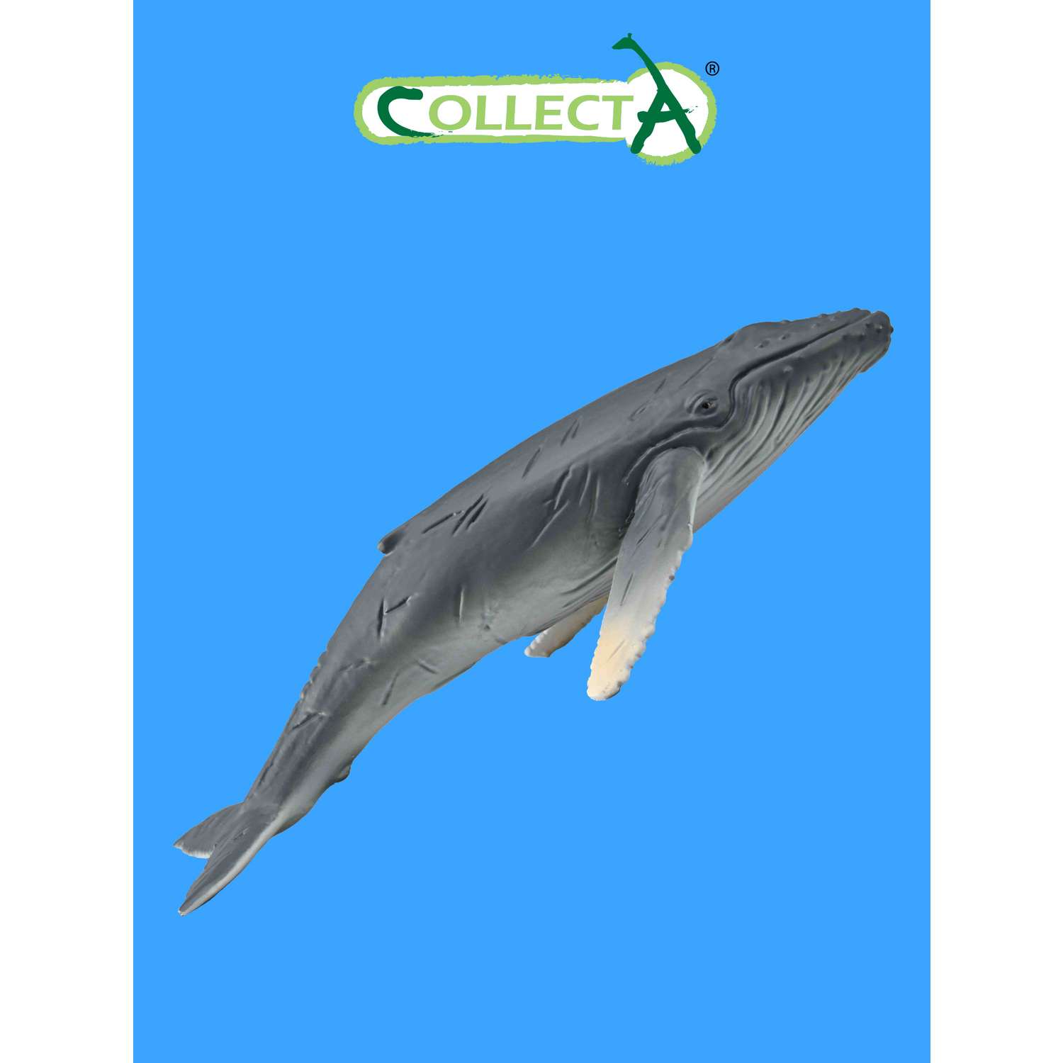 Фигурка животного Collecta Горбатый кит детёныш - фото 1