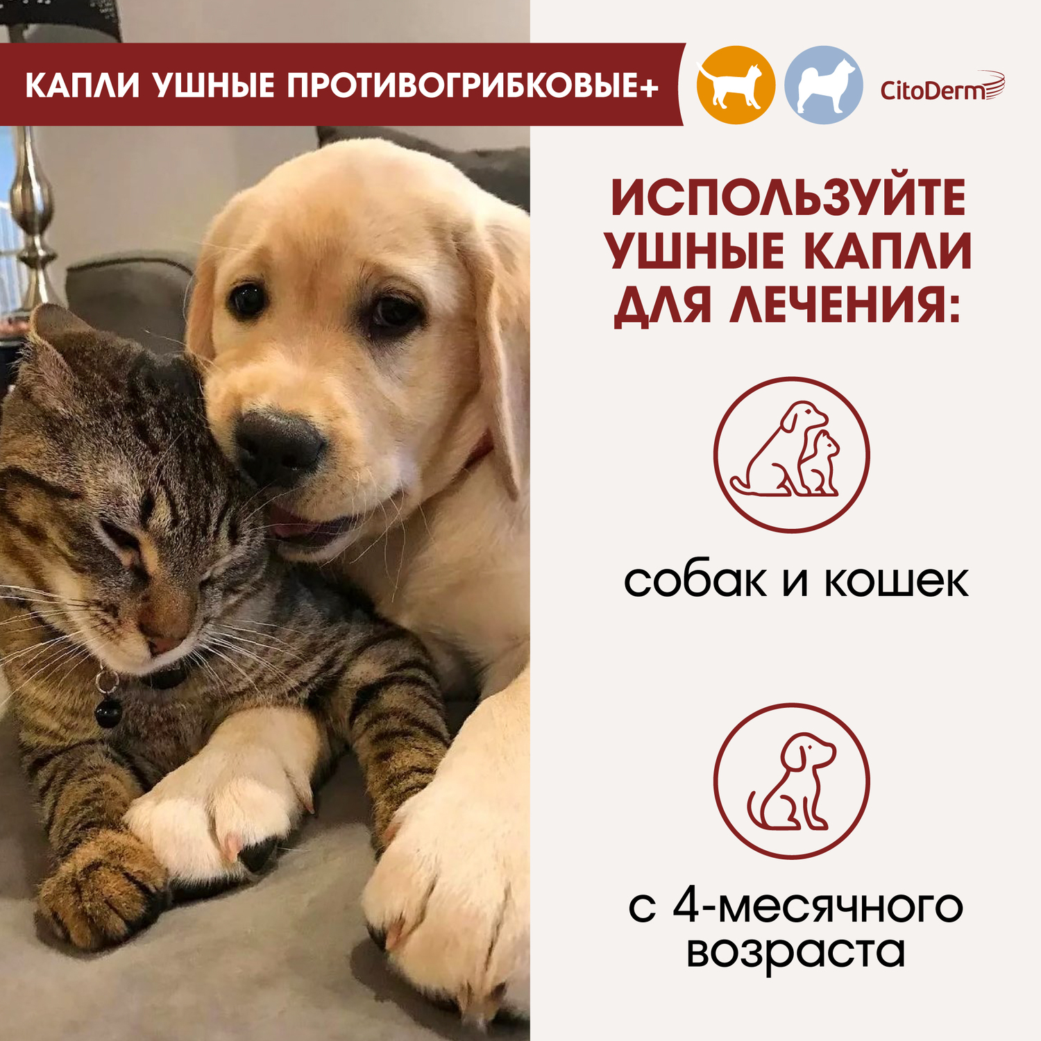 Капли ушные для животных CitoDerm противогрибковые+ 10мл - фото 3