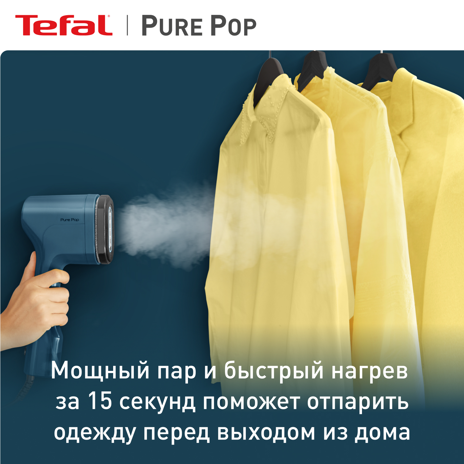 Отпариватель ручной TEFAL Pure Pop DT2020E1 Голубые альпы купить по цене  4999 ₽ в интернет-магазине Детский мир