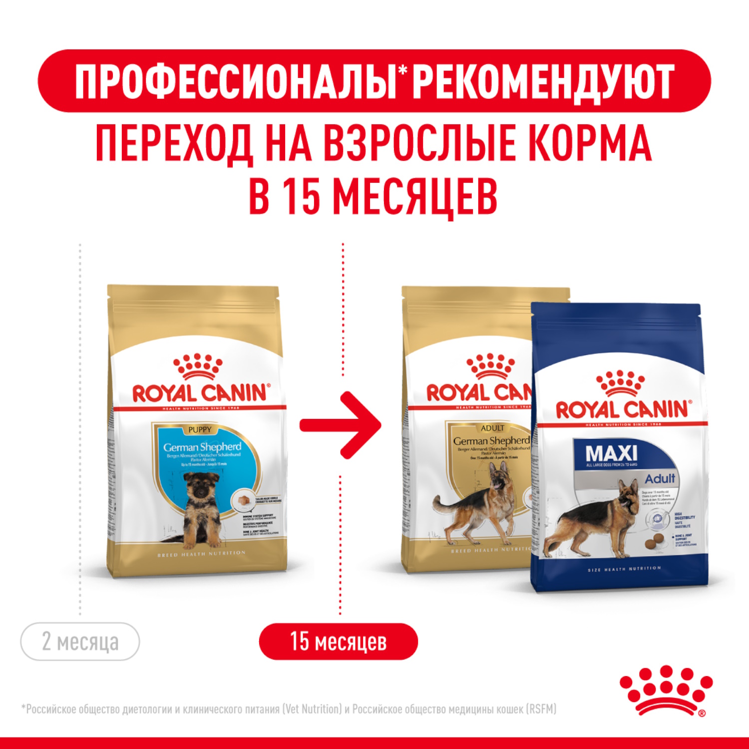 Корм для щенков ROYAL CANIN German Shepherd Puppy породы немецкая овчарка  12кг купить по цене 8214 ₽ с доставкой в Москве и России, отзывы, фото