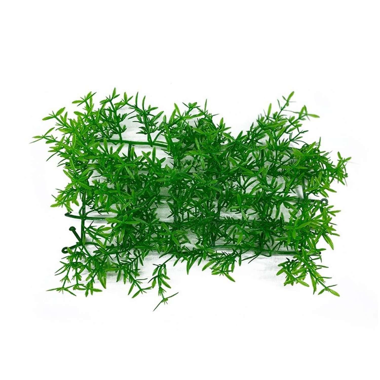Аквариумное растение Rabizy в виде коврика 23х12х5 см - фото 1