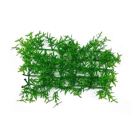 Аквариумное растение Rabizy в виде коврика 23х12х5 см
