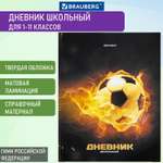 Дневник школьный Brauberg для 1-11 классов для мальчика 48 листов