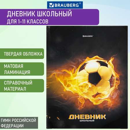 Дневник школьный Brauberg для 1-11 классов для мальчика 48 листов