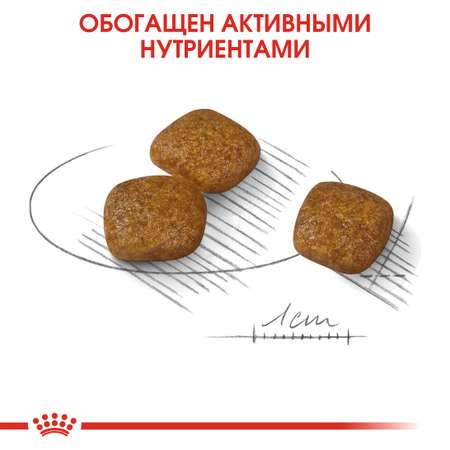 Сухой корм для собак ROYAL CANIN Urinary 3 кг (полнорационный)