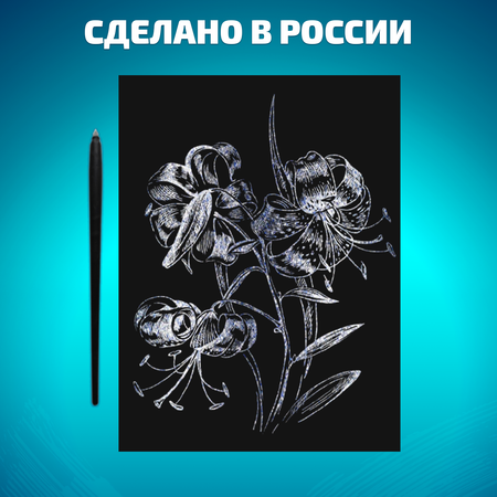 Набор для творчества LORI Гравюра книга из 9 листов Цветочная фантазия18х24 см