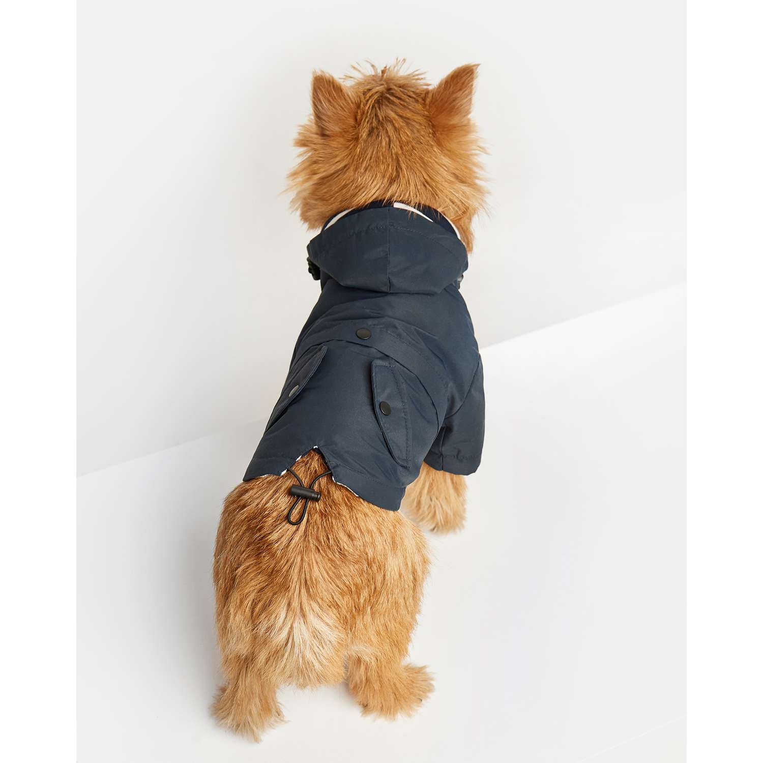 Куртка для собак Zoozavr тёмно-синяя 25 - фото 7